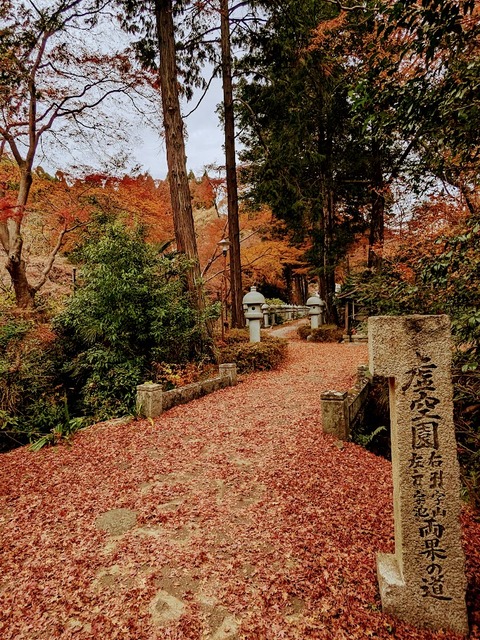 34.参道