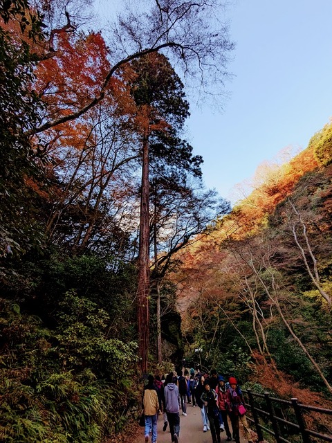 04.瀧道3