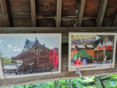 額11