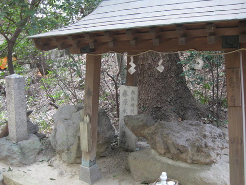 羽曳野・八尾1.17-18 078