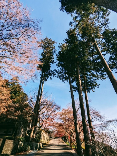 37.参道3