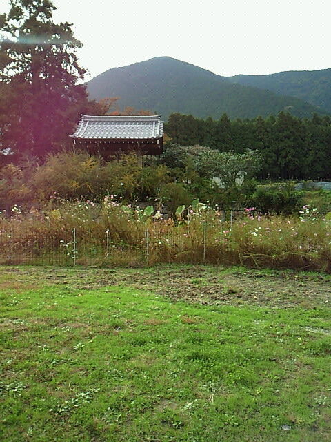 SBCA0125