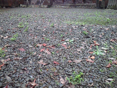 SBCA0031