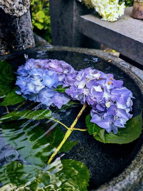 12.花手水
