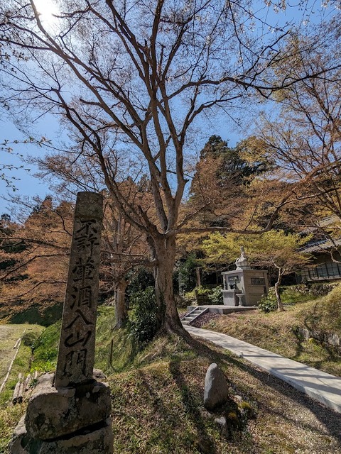 不許葷酒入山門