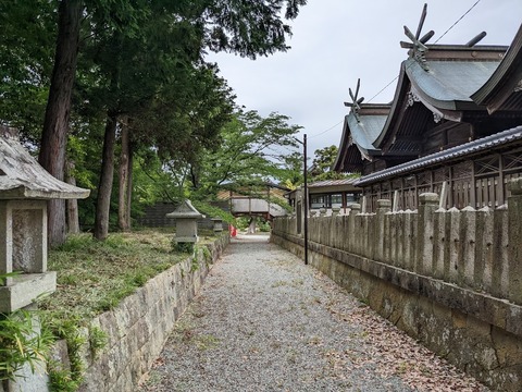 住吉神社本殿真後ろ