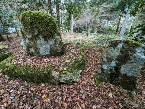 21.苔むした石2