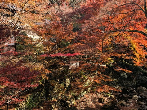 04.箕面川床5