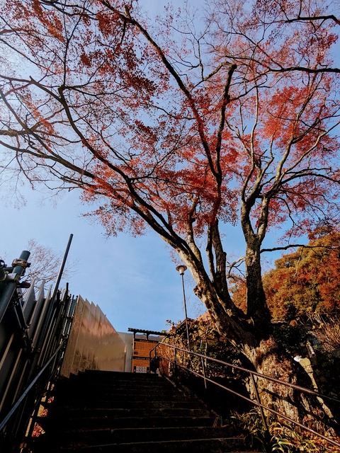 22.参道3