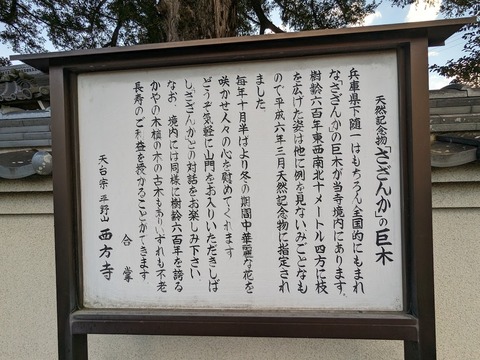 01.西方寺2