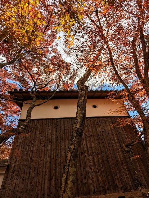 13.右手の建物と黄色