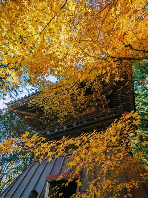 10.鐘楼エリア5