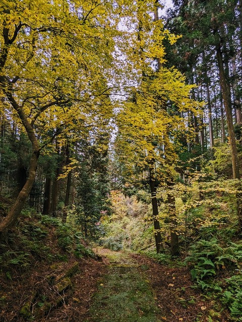 17.下山