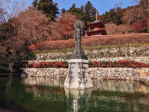 17.緑と水3