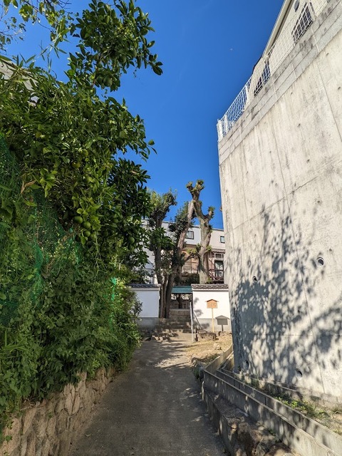 風神社4