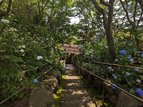 11.下山2