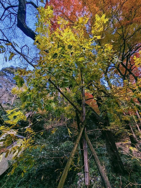 12.時習堂3