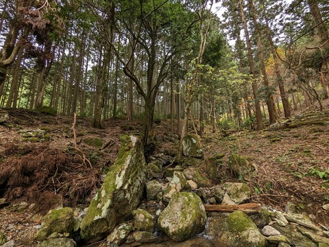 38.山のエリア5