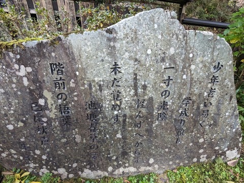 16.少年老い易く