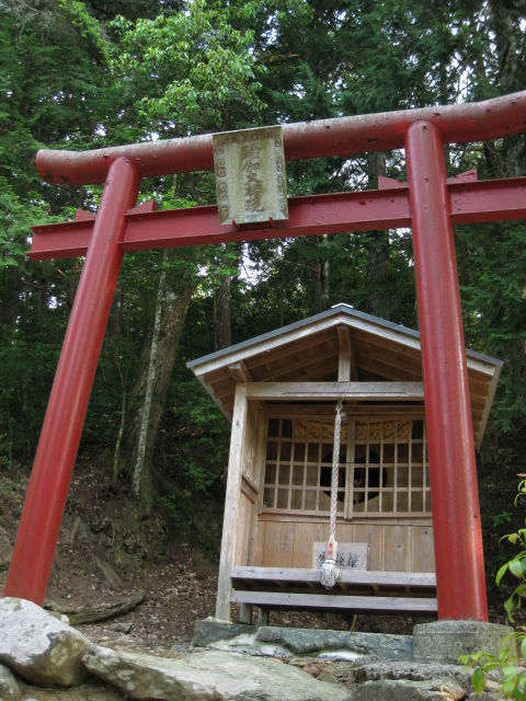 画像 283