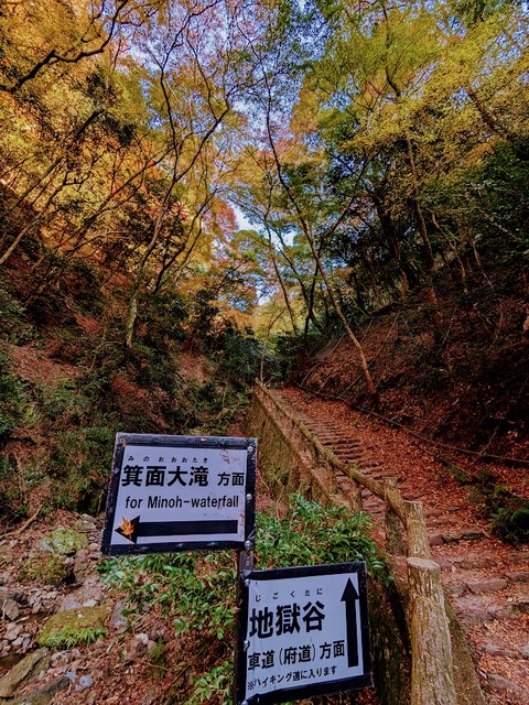05.地獄谷分岐