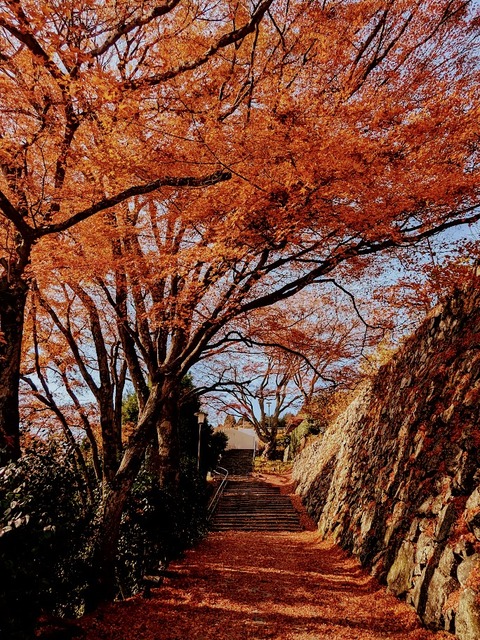 22.参道2