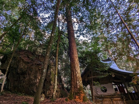 本殿と磐座