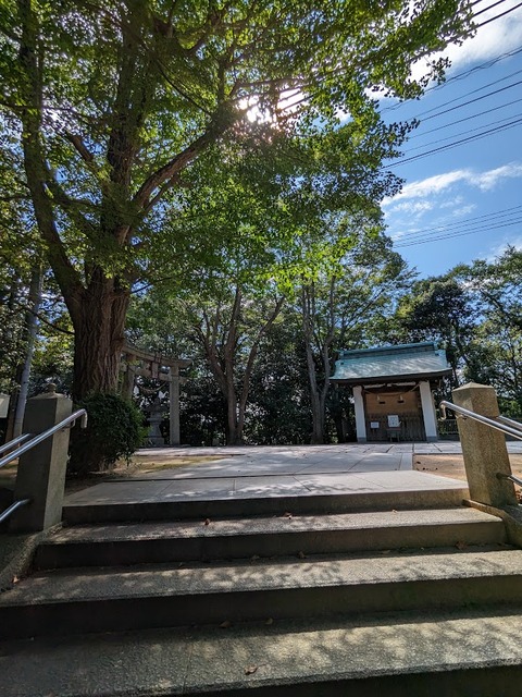 公園から参道へ2