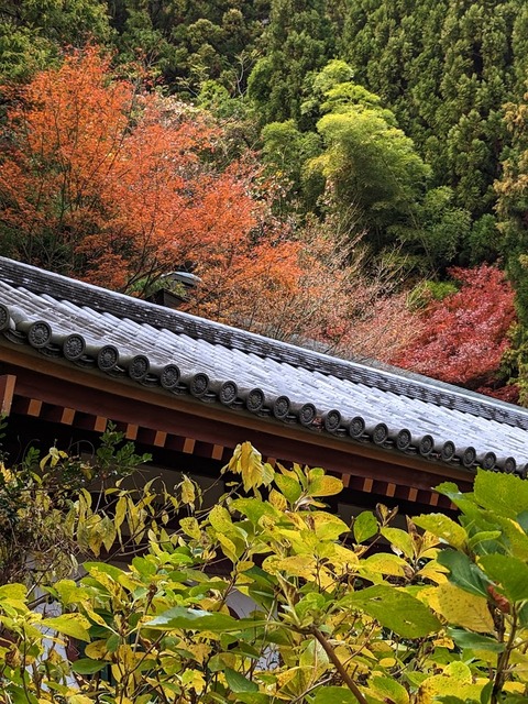 18.回廊と紅葉2