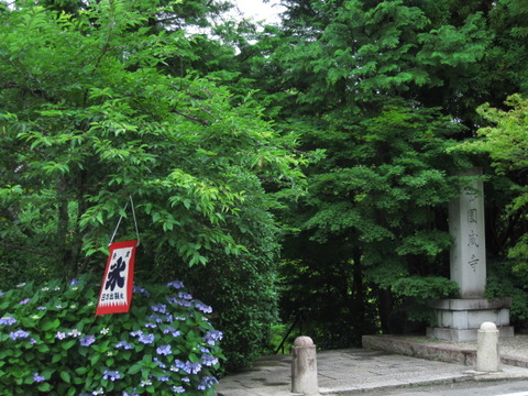 旅 200