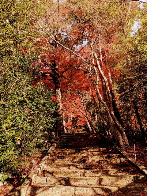 15.本堂への石段
