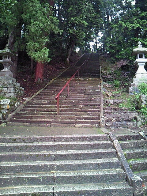 SBCA0024