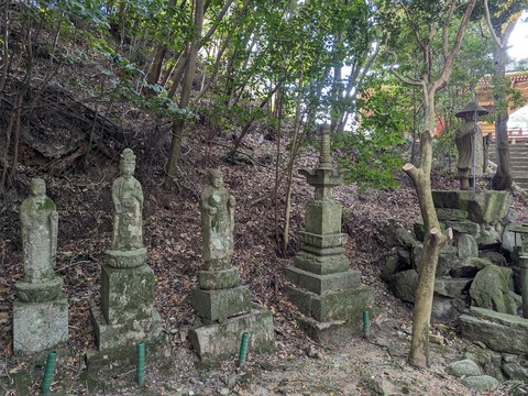 24.境内5