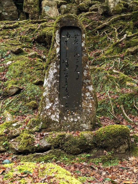 26.松瀬青々