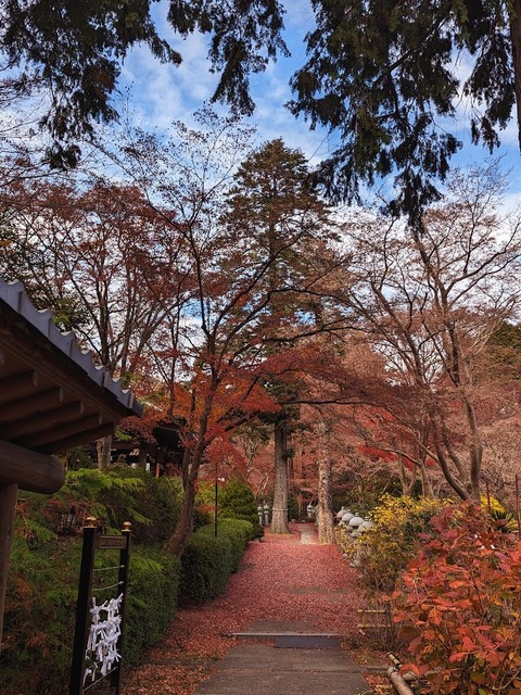 11.境内