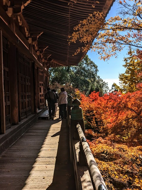 05.大講堂回廊より3