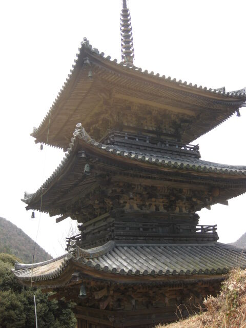 画像 099