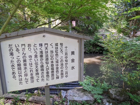 黄金水