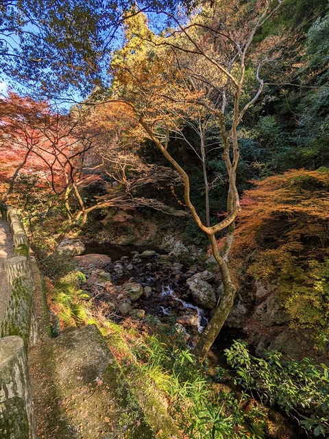 04.箕面川床3