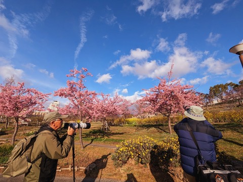 西郷川河川公園2