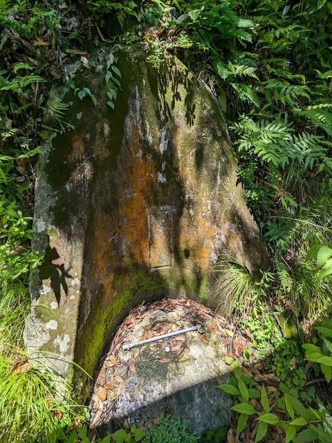 神水