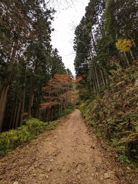 21.登山道7