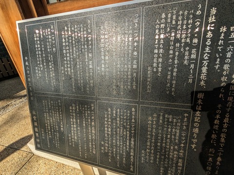 04.境内の花木の解説板