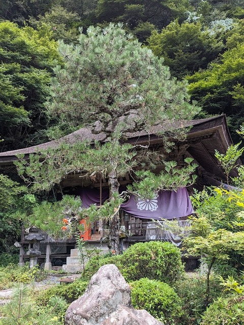 本堂6