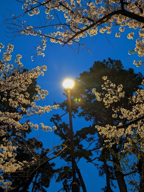 02.夙川4