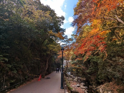 16.箕面川と紅葉3