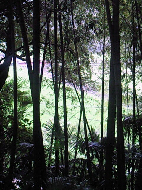 SBCA0034