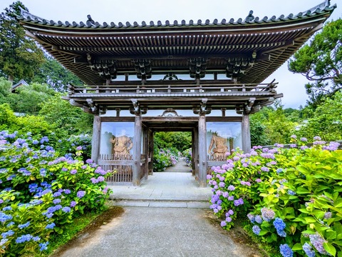 山門2