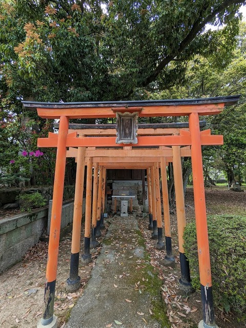 白長大明神
