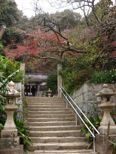 画像 036